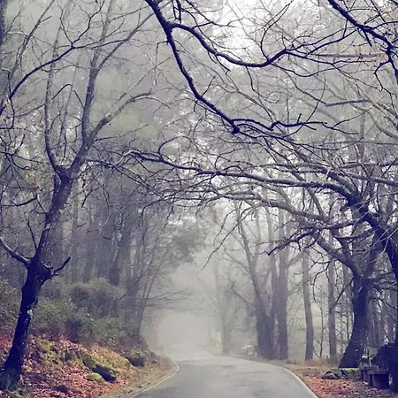 Janonas Cc-cr-00219 Летний дом