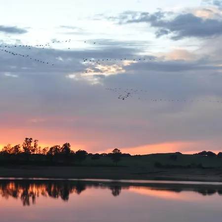 Janonas Cc-cr-00219 *