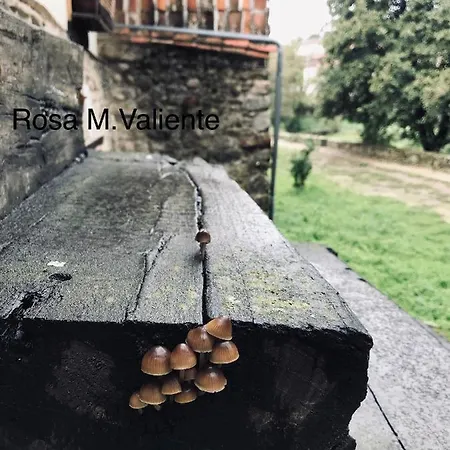 Janonas Cc-cr-00219 乡村民宿 *