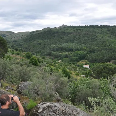 Летний дом Janonas Cc-cr-00219