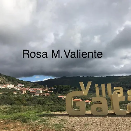 Janonas Cc-cr-00219 加塔