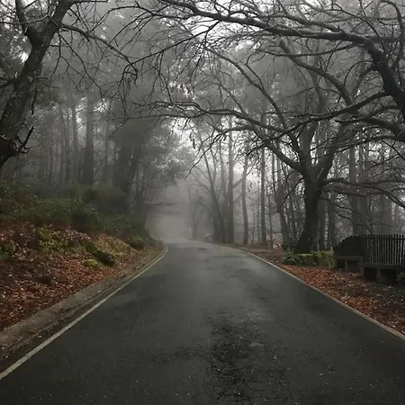 乡村民宿 Janonas Cc-cr-00219