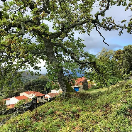 Janonas Cc-cr-00219 加塔