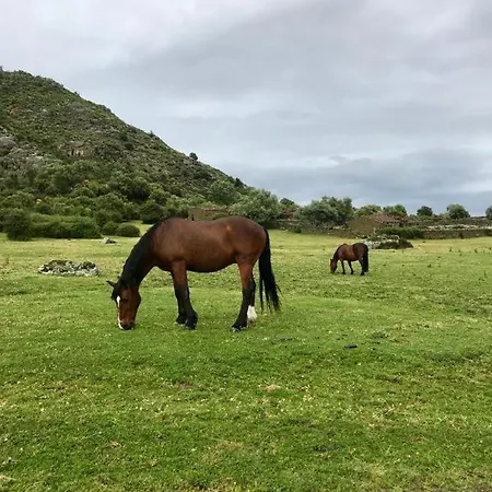 Летний дом Janonas Cc-cr-00219 *