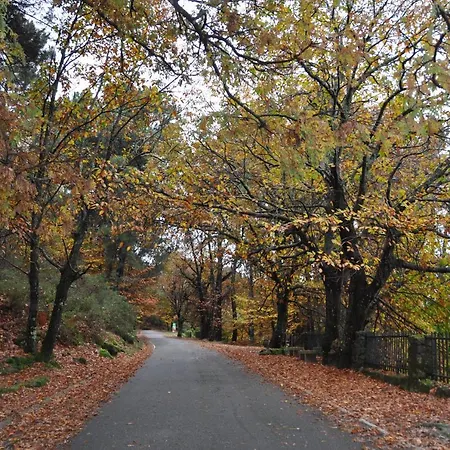 Janonas Cc-cr-00219 Летний дом Гата