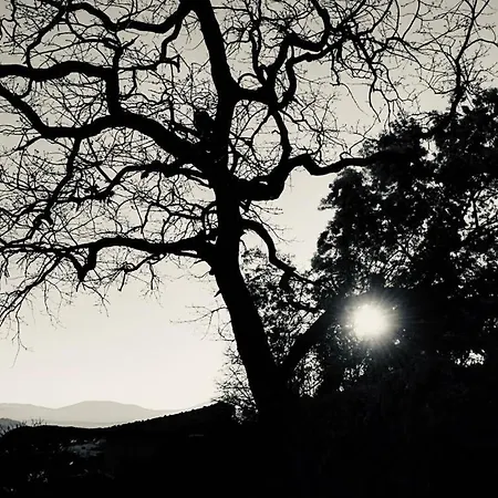 Летний дом Janonas Cc-cr-00219 Гата