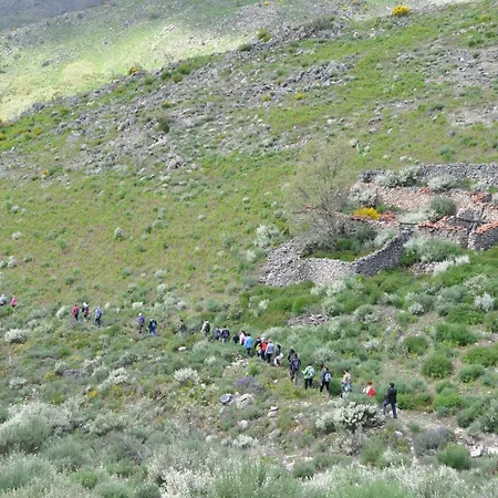 Летний дом Janonas Cc-cr-00219 *