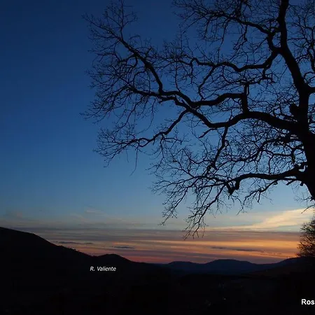 Летний дом Janonas Cc-cr-00219 *