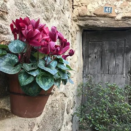 Janonas Cc-cr-00219 乡村民宿 加塔