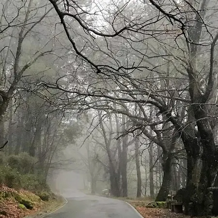 Летний дом Janonas Cc-cr-00219 Гата