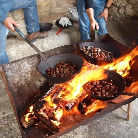 Janonas Cc-cr-00219 * Гата