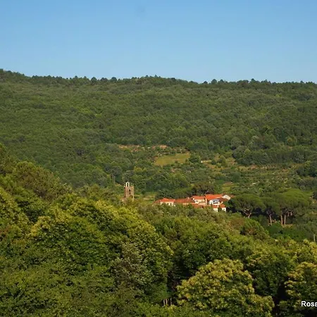 Janonas Cc-cr-00219 * Гата