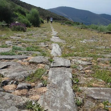 Janonas Cc-cr-00219 Летний дом