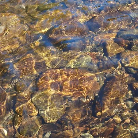 Janonas Cc-cr-00219 Гата