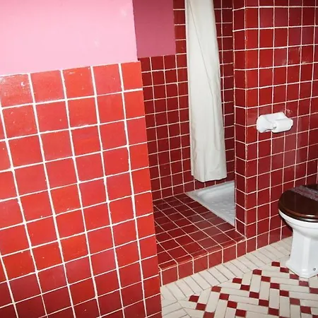 Janonas Cc-cr-00219 *