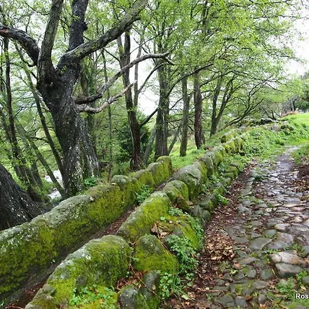 Janonas Cc-cr-00219 Гата