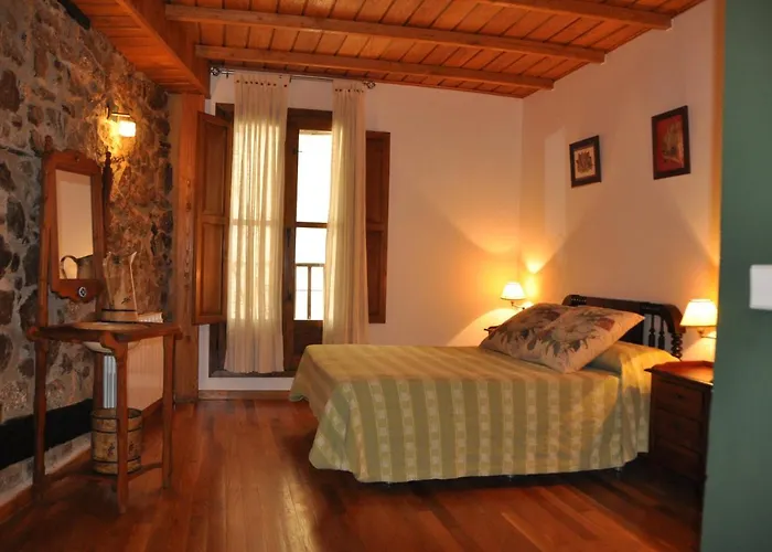 Janonas Cc-cr-00219 * Gata