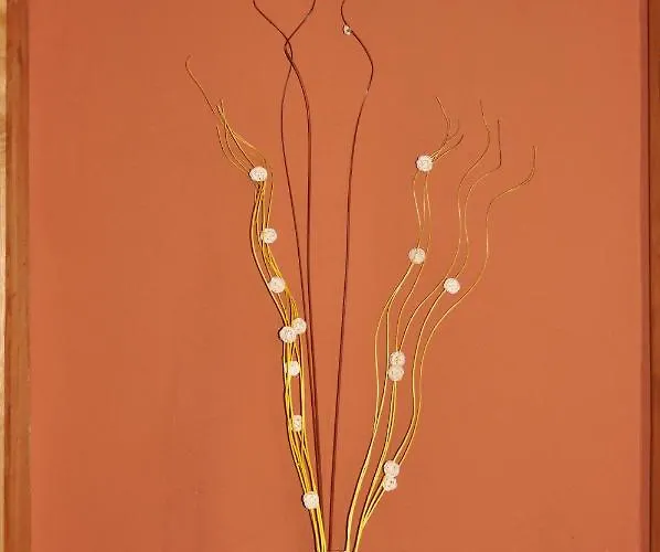 Jañonas Cc-cr-00219