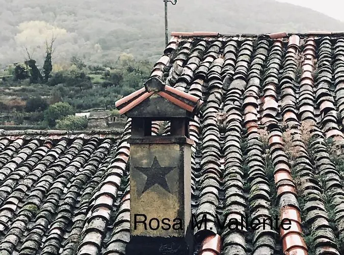 Jañonas Cc-cr-00219 * Gata