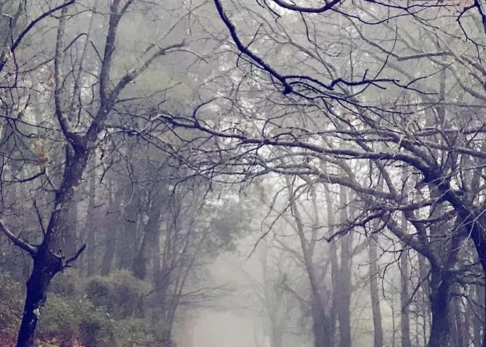 Jañonas Cc-cr-00219 Casa rural