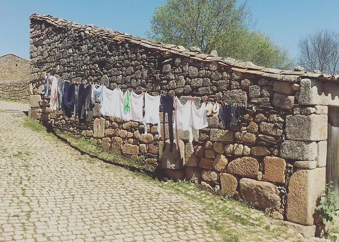 Jañonas Cc-cr-00219 * Gata