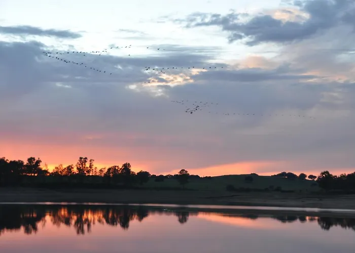 Janonas Cc-cr-00219 *