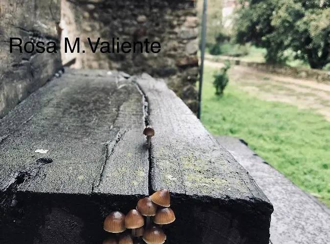 Janonas Cc-cr-00219 Country house *