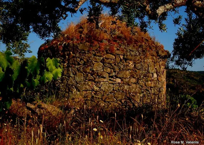 Jañonas Cc-cr-00219