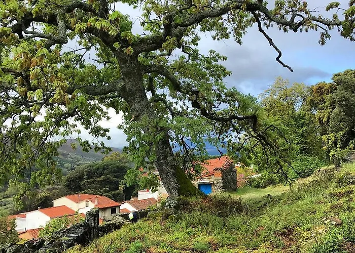 Janonas Cc-cr-00219 Gata