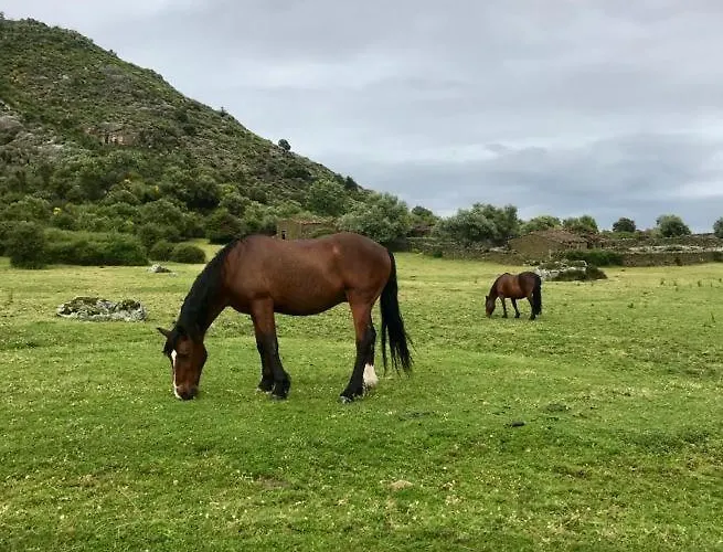 Country house Janonas Cc-cr-00219 *