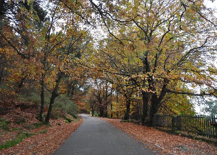 Janonas Cc-cr-00219 Country house Gata