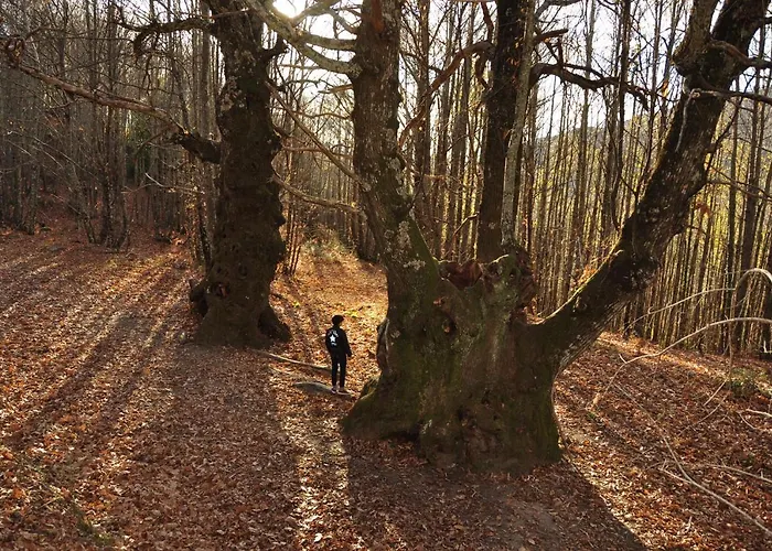 Janonas Cc-cr-00219 Country house