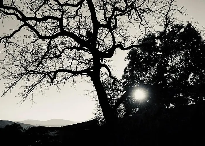 Country house Janonas Cc-cr-00219 Gata