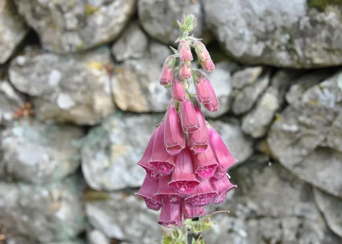 Country house Janonas Cc-cr-00219 Gata