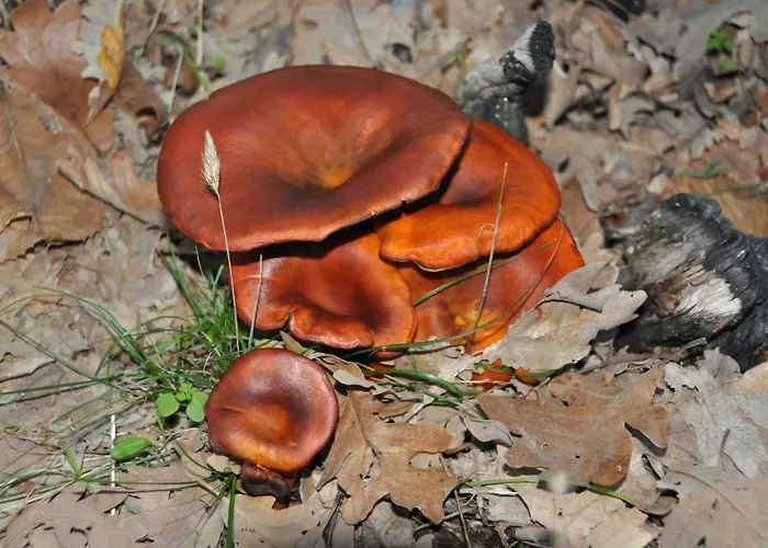 Country house Janonas Cc-cr-00219 Gata