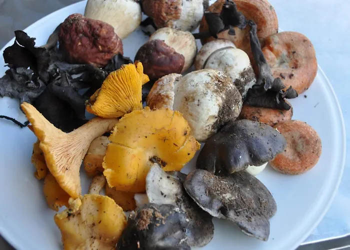 Janonas Cc-cr-00219 Country house Gata