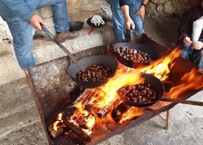 Janonas Cc-cr-00219 * Gata