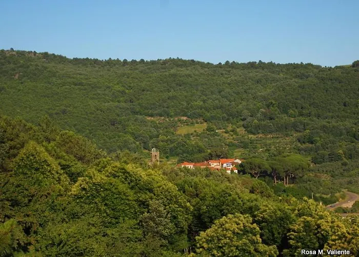 Janonas Cc-cr-00219 * Gata