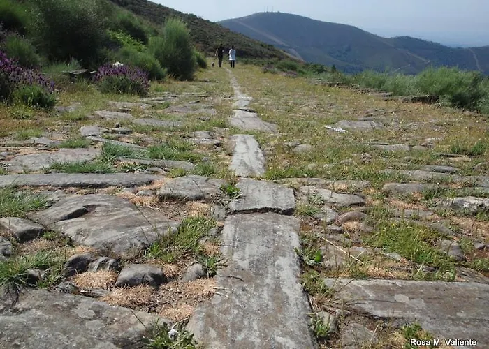 Janonas Cc-cr-00219 Country house