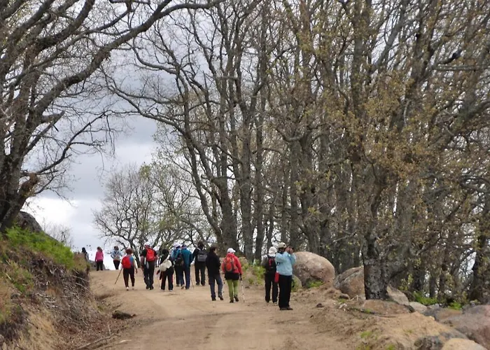 Country house Janonas Cc-cr-00219