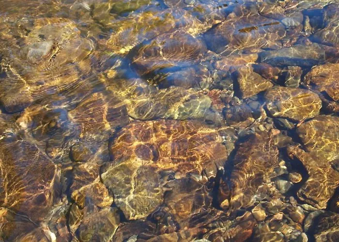 Janonas Cc-cr-00219 Gata