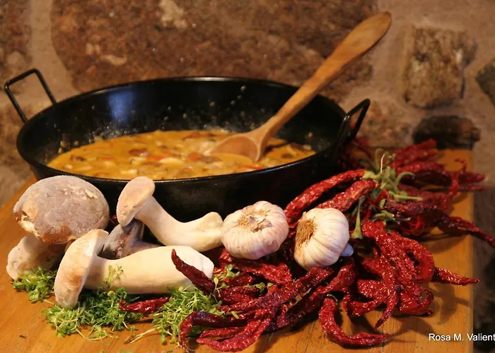 Janonas Cc-cr-00219 Gata